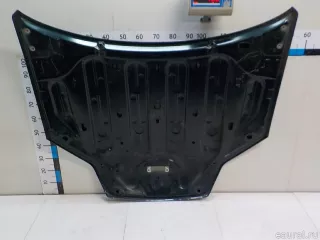 651000021R Renault Капот Renault Laguna 3 Арт E84272202, вид 2