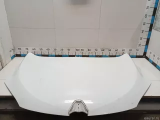 651009018R Renault Капот Renault Megane 3 Арт E90328294, вид 5