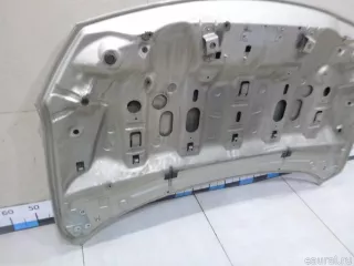 651002244R Renault Капот Renault Fluence  Арт E60564780, вид 10