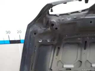 41617486754 BMW Капот BMW X6 E71/E72 Арт E84564033, вид 12