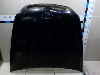 41617486754 BMW Капот BMW X6 E71/E72 Арт E84564033, вид 15