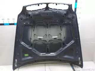 41617486754 BMW Капот BMW X6 E71/E72 Арт E84564033, вид 9
