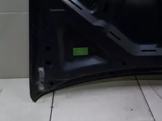 41617486754 BMW Капот BMW X6 E71/E72 Арт E84564033, вид 10