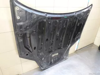 651000021R Renault Капот Renault Laguna 3 Арт E100090228, вид 8