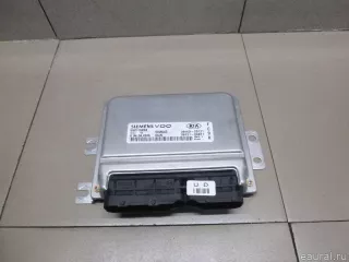 3912123071 Hyundai-Kia Блок управления двигателем Kia Sportage 2 Арт E100094048, вид 1