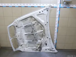 41617486754 BMW Капот BMW X6 E71/E72 Арт E100167280, вид 10