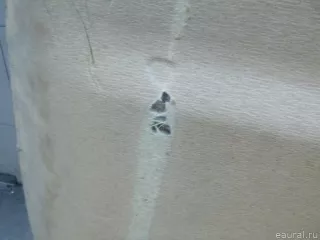 8331J6 Citroen-Peugeot Обшивка потолка Citroen C1 1 Арт E100199163, вид 10