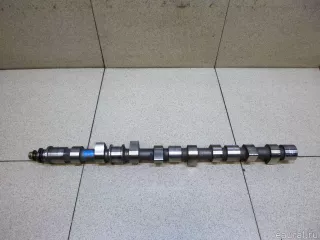 130012W201 Nissan Распредвал Nissan Terra Арт E100276444, вид 1