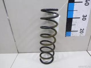 SPR11009 FENOX Пружина задняя Ford Focus 2 Арт E15044559, вид 1