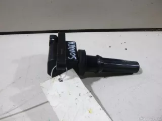 2730138020 Hyundai-Kia Катушка зажигания Hyundai Trajet Арт E15058410, вид 1