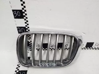 51117210725 Решетка радиатора BMW X3 F25 Арт D100204, вид 1