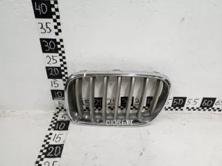 51117210725 Решетка радиатора BMW X3 F25 Арт D105614, вид 1