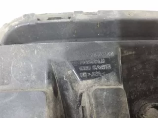 51117449679 Заглушка (решетка) в бампер передний BMW X5 G05  Арт 989904D, вид 5