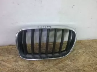 51117210725 Решетка радиатора BMW X3 F25 Арт AK055808, вид 1
