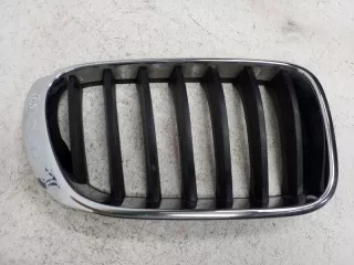 51117210725 Решетка радиатора BMW X3 F25 Арт AD095450, вид 1