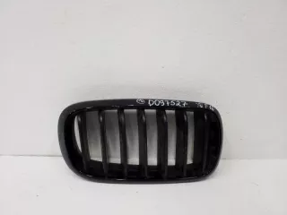 51712334710 Решетка радиатора BMW X5 F15 Арт AD097526, вид 1