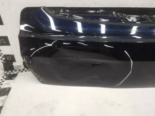 41007931937 Борт откидной BMW X7 g07 Арт A991668D, вид 2