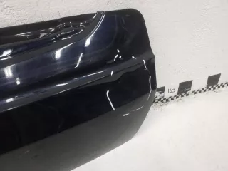 41007931937 Борт откидной BMW X7 g07 Арт A991668D, вид 3