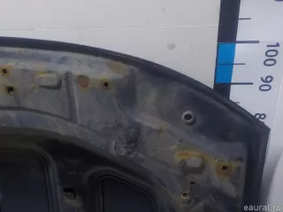 651000987R Renault Капот Renault Duster 2 Арт E51951322, вид 12