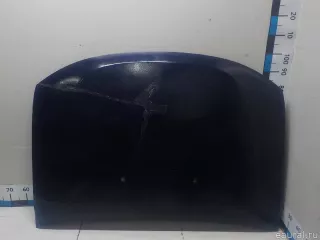 651000987R Renault Капот Renault Duster 2 Арт E51951322, вид 2