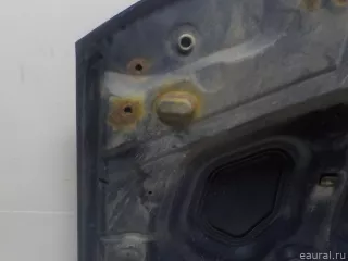 651000987R Renault Капот Renault Duster 2 Арт E51951322, вид 10
