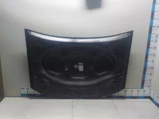651000987R Renault Капот Renault Duster 2 Арт E52180093, вид 9