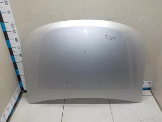 651000987R Renault Капот Renault Duster 2 Арт E52204914, вид 1
