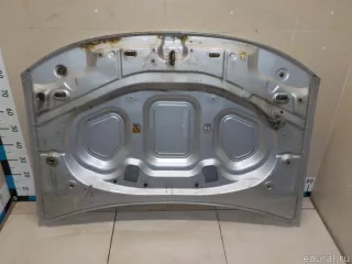 651000987R Renault Капот Renault Duster 2 Арт E52204914, вид 20