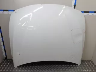 41007290944 BMW Капот BMW X4 F26 Арт E23340677, вид 1