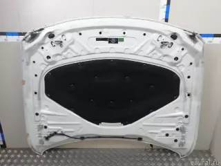 41007290944 BMW Капот BMW X4 F26 Арт E23340677, вид 17