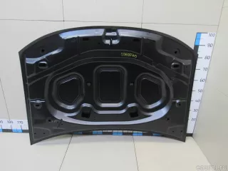 RN20031A TYG Капот Renault Duster 2 Арт E80905443, вид 6