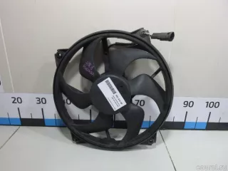 1253A9 Citroen-Peugeot Вентилятор радиатора Peugeot 307 Арт E48419154, вид 1