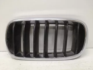 7316075, 7316057 решетка радиатора BMW X5 F15 Арт SP17961, вид 1