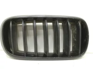 51717316076, 7316054 решетка радиатора BMW X5 F15 Арт SP17971, вид 1