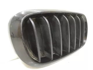 51717316076, 7316054 решетка радиатора BMW X5 F15 Арт SP17971, вид 2