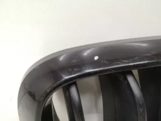 51717316076, 7316054 решетка радиатора BMW X5 F15 Арт SP17971, вид 4