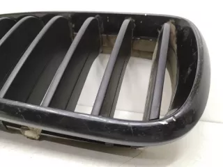 51717316076, 7316054 решетка радиатора BMW X5 F15 Арт SP17971, вид 5