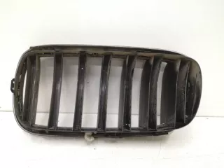 51717316076, 7316054 решетка радиатора BMW X5 F15 Арт SP17971, вид 6