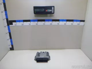 391G02FDA0 Hyundai-Kia Блок управления двигателем Kia Carnival 3 Арт E23364049, вид 10