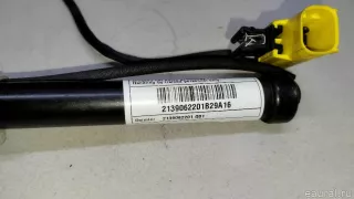 2139062201 Mercedes Benz Пиропатрон Mercedes S C217 Арт E23442528, вид 8