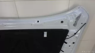 651001544R Renault Капот Renault Arkana Арт E70673888, вид 17