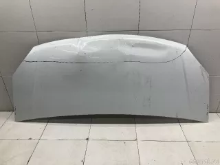 A21R238402012 GAZ Капот ГАЗ Газель next Арт E31514164, вид 1