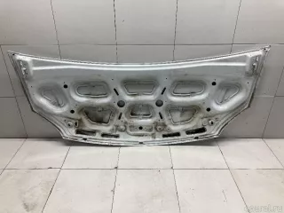 A21R238402012 GAZ Капот ГАЗ Газель next Арт E31514164, вид 11