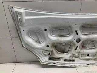 A21R238402012 GAZ Капот ГАЗ Газель next Арт E31514164, вид 12