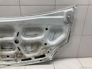 A21R238402012 GAZ Капот ГАЗ Газель next Арт E31514164, вид 14
