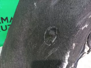 51717351456, 7351456 подкрылок BMW 5 G30/G31 Арт 238152RM, вид 7