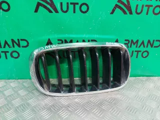 51137294486, 7316076 решетка радиатора BMW X5 F15 Арт 240353RM, вид 1