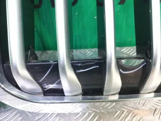 51137454895, 8094566 решетка радиатора BMW X7 g07 Арт 282967RM, вид 7