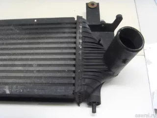 14461EB360 Nissan Интеркулер Nissan Navara D23 Арт E52267107, вид 4