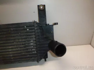 14461EB360 Nissan Интеркулер Nissan Navara D23 Арт E22970139, вид 5